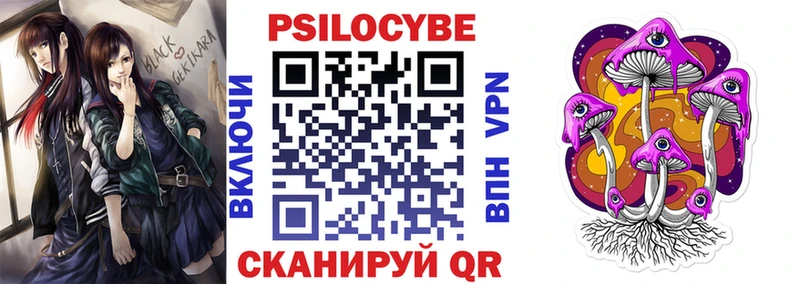 hydra зеркало Сосногорск Псилоцибиновые грибы Psilocybe