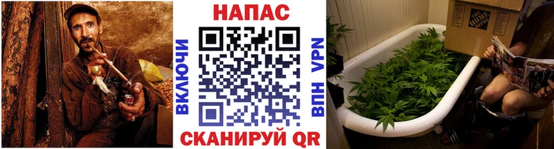 МАРИХУАНА Amnesia Сосногорск
